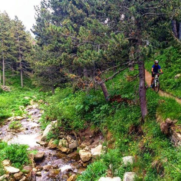 Appartamento LA PRADELLA BOLQUERE Pyrénéés 2000 Esterno foto