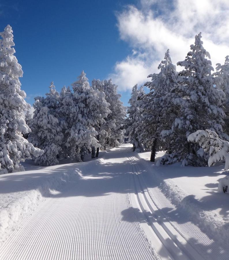 Appartamento LA PRADELLA BOLQUERE Pyrénéés 2000 Esterno foto